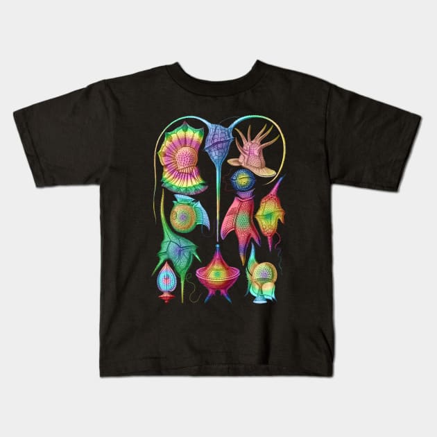 Ernst Haeckel  Rainbow  Peridinea Algae Kids T-Shirt by Scientistudio